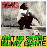 509 BMG - Ain't No Shame In My Game