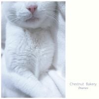 Chestnut Bakery - Diaries