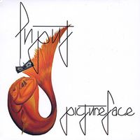 Input - Pictureface