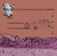 Sokonashi No Baketsu No Youni Zarazara - actslum