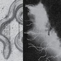 Rainforest Spiritual Enslavement - Simulated Thunderstorm