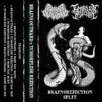 Brains Outward - Brainsrejection Split