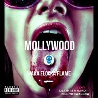 Waka Flocka Flame - Mollywood