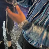Toujour - Blau Wei&szlig;er Carlo