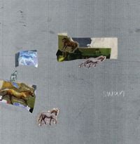 Fazed on a Pony - swan