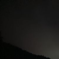 SuddenOakDeath - The Beauty and Darkness of Life Itself