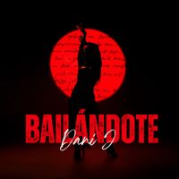 Dani J - Bail&aacute;ndote