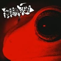 Phyllomedusa - We Are Carnivores and Cannibals