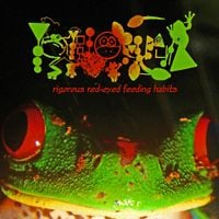 Phyllomedusa - Rigorous Red-eyed Feeding Habits