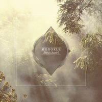Monokle - Birds Swirl