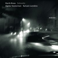 Garth Knox, Agnès Vesterman & Sylvain Lemêtre - Saltarello