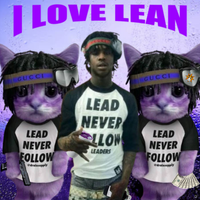 recko. - I LOVE LEAN