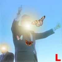 Lepidopterists - Lepidopterists