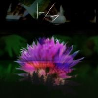 Headghost_ - Field Of False Sentiment