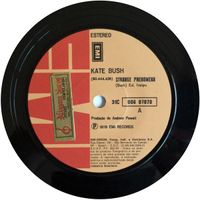 Kate Bush - Strange Phenomena