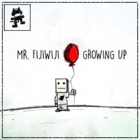 Mr FijiWiji - Growing Up