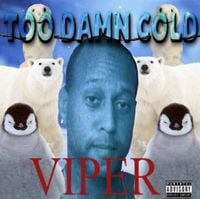 Viper - Too Damn Cold