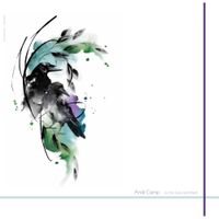 Andi Camp - a life less terrified