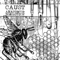Caust - Anatomy & Dissection