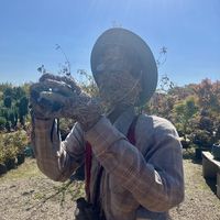 Rat Tail Bandit - Big-time life in a desert