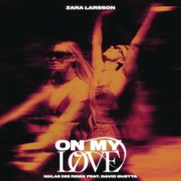 Zara Larsson - On My Love (Niklas Dee Remix)