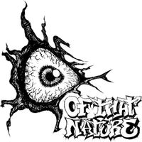 Of That Nature - 4612364