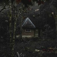 Blossomed - fragments of cessation