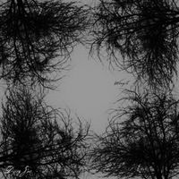Dying Sun - Wrought