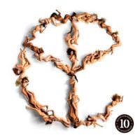 Yellow Claw - Blood For Mercy (10th Anniversary) [2025 Remaster]
