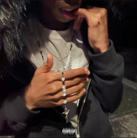 Prem6 - demeanour