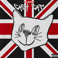 savemesah - cashcat