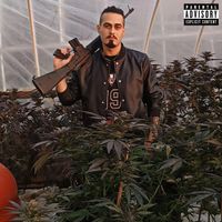 IsDaLoc - Pot