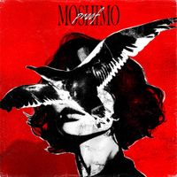 MOSHIMO - Proof