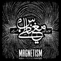 Mohsen Namjoo - Magnetism