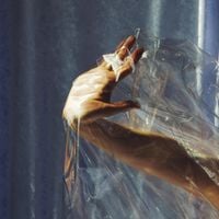 Lisel - Angels on the Slope