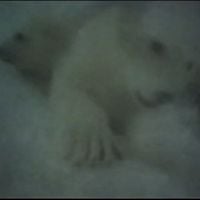 icb.wav - outside is cold!!!