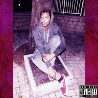 Blizzi Boi - Shades of Purple