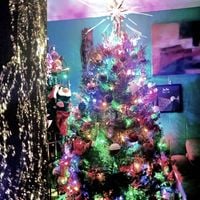 Various Artists - A Merry Pacific Star Christmas
