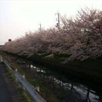 Chino Yoshio - My Past Memories