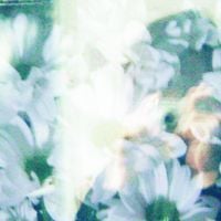 Dirtbag Loris - Wind Sways Roses In My Hands