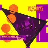 Buzzcocks - A Different Kind of Tension