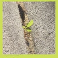 Booker Stardrum - Close-up On The Outside