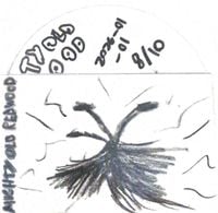 Mighty Old Redwood - Terrible Three-Headed Beast