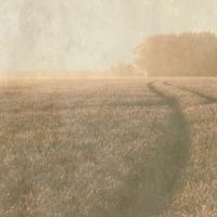 shiru - FARMLAND: The Dawn Pack