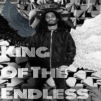 Vat6r&eacute; - King of The Endless
