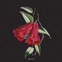 boy pablo - Flowers