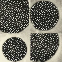 K. Leimer - Resting Forms