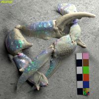 Flume - Let You Know