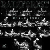 David Tudor - Rainforest