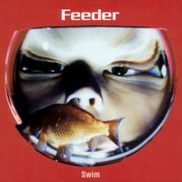 Feeder - Swim